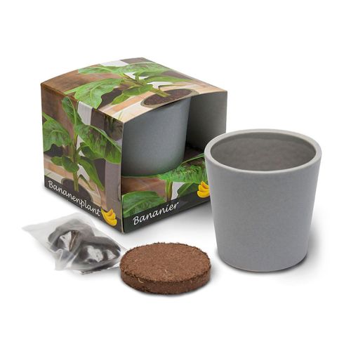 Pot en céramique avec graines uniques - image 3